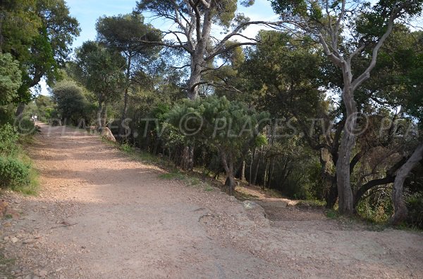 Strada forestale Dramont - Saint Raphael