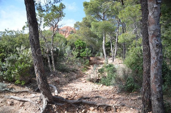 Sentier pour accéder à la zone naturiste