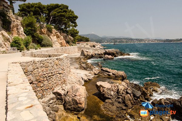 Foto della spiaggia di Grand Large sull'isola di Bendor (Bandol)