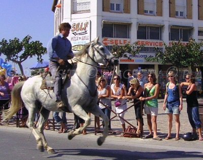 Chevaux dans les rues des Saintes Maries de la Mer