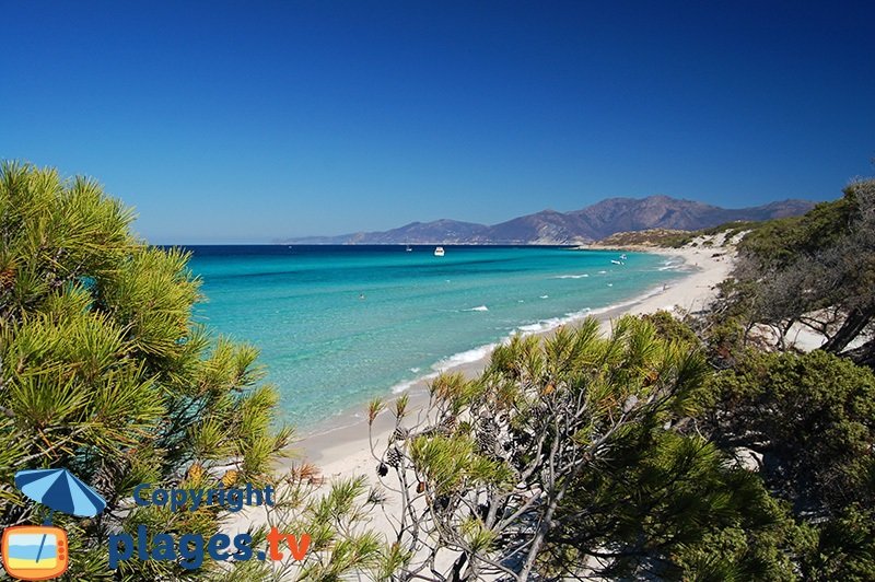 Saleccia : le piu belle spiagge