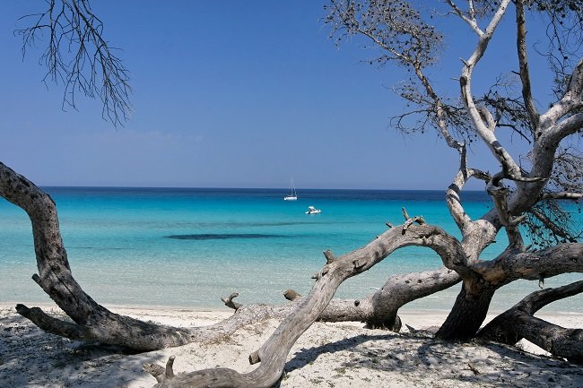 Plage de Saleccia dans le désert des Agriates en Corse