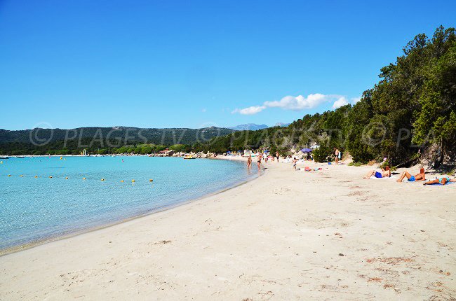 Beautiful beach of Santa Giulia in Corsica