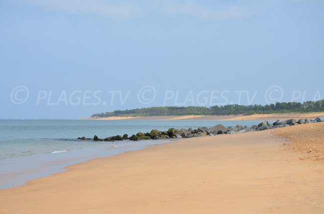 Les Saumonards d'Oléron