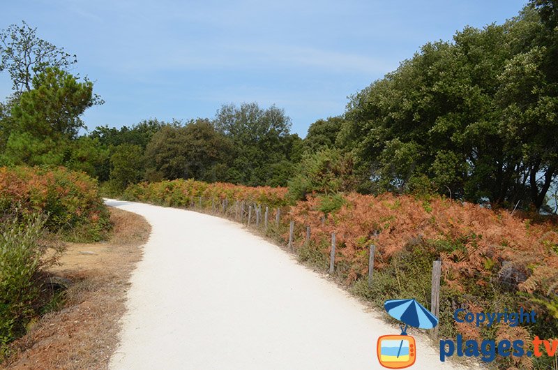 Sentier sur l'ile d'Aix