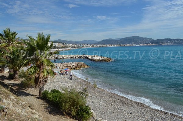 Palme sulla spiaggia della Lanterna - Nizza