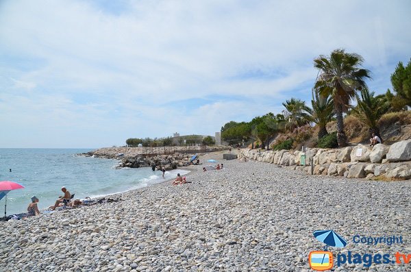 Photo de la plage autorisée aux chiens à Nice