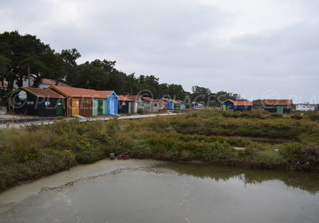 Oyster farm in Fort Royer in Oleron - France