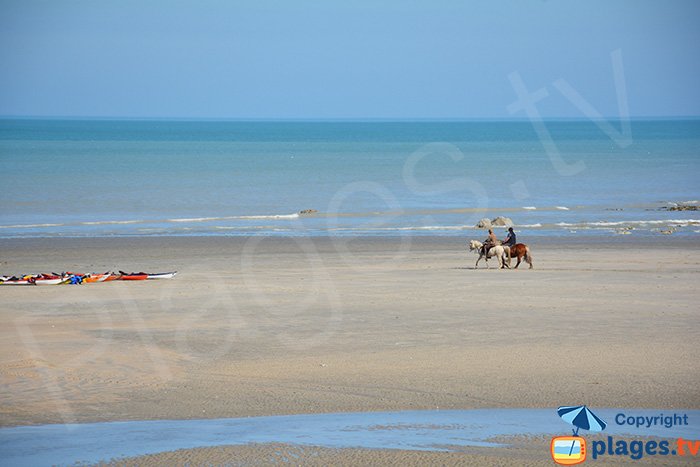 Plage de St Aubin (76) - promenade à cheval