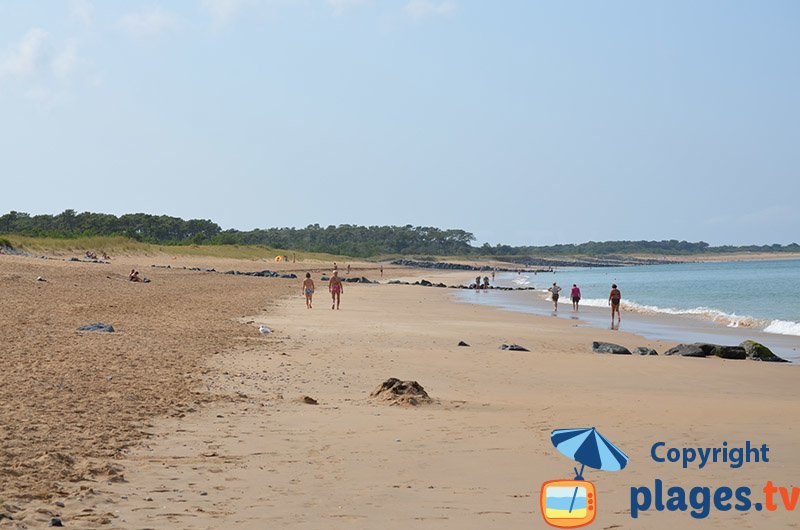 Belle plage des Saumonards à Oléron