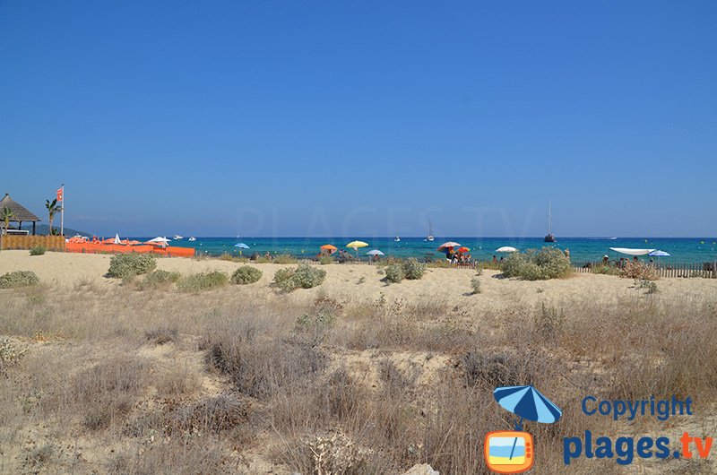 Plage de Pampelonne avec ses petites dunes