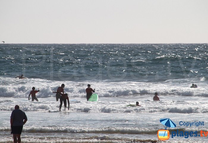 Surfeurs à Sauzon