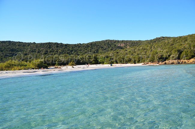 Tahiti beach near Piccovaggia - Corsica