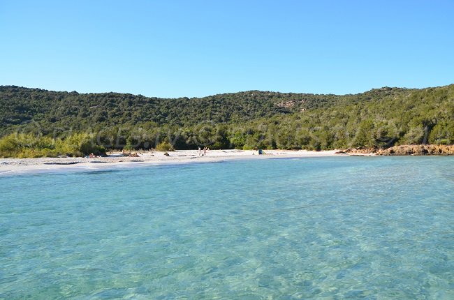 Tahiti plage à Porto Vecchio