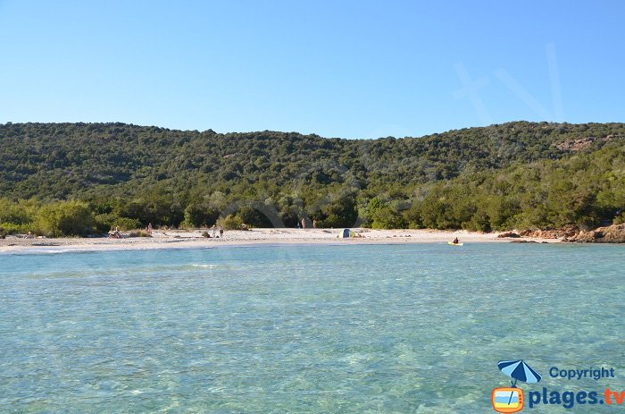 Plage de Tahiti à Porto Vecchio avec Thalassa