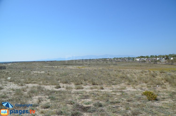 Front de mer de Torreilles - Vue vers le sud