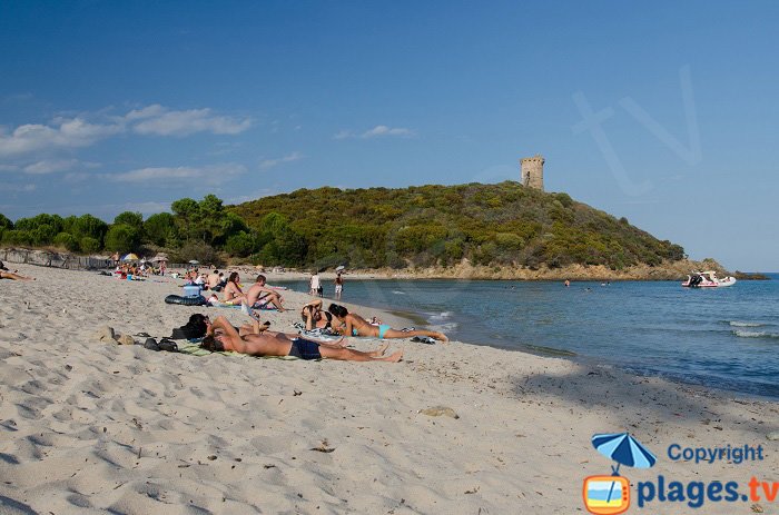 Spiaggia della torre di Fautea - Corsica