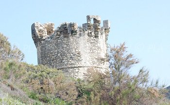 Genoese tower of Farinole