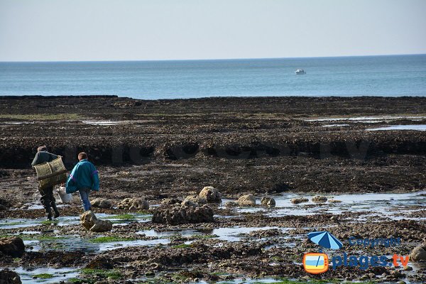 Fishing walking near Etretat