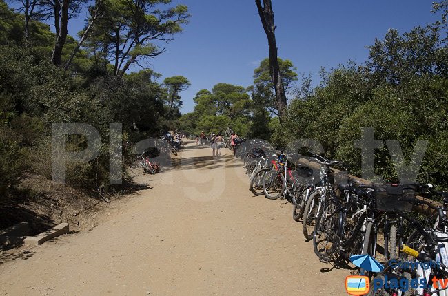 Bike in Porquerolles in France