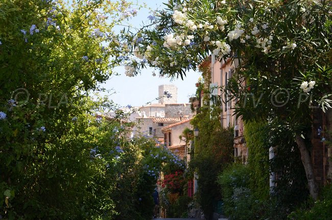 Vieille ville d'Antibes - quartier du Safranier