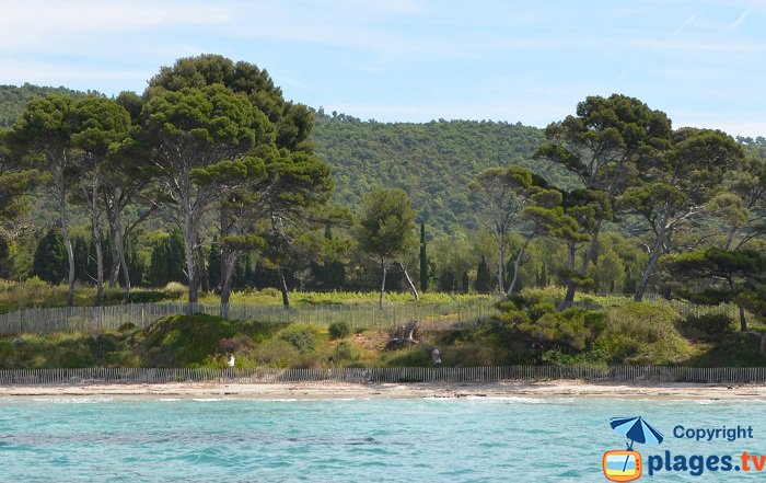 La Vignasse - Bormes les Mimosas - Francia