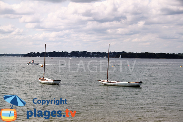 Voile dans le golfe du Morbihan