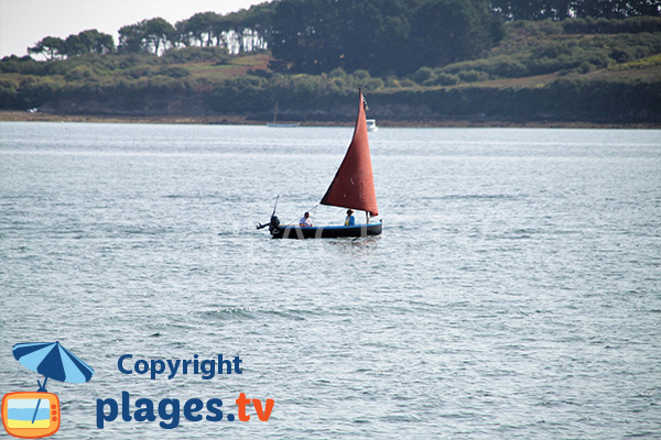 Voilier traditionnelle dans le golfe du Morbihan