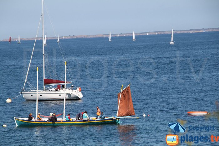 Voiliers autour de Belle Ile