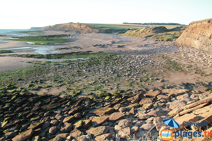 View of Cap Gris Nez from northern Audresselles