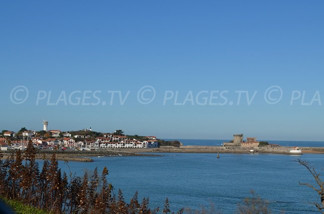 Côte de Socoa vue depuis Ciboure