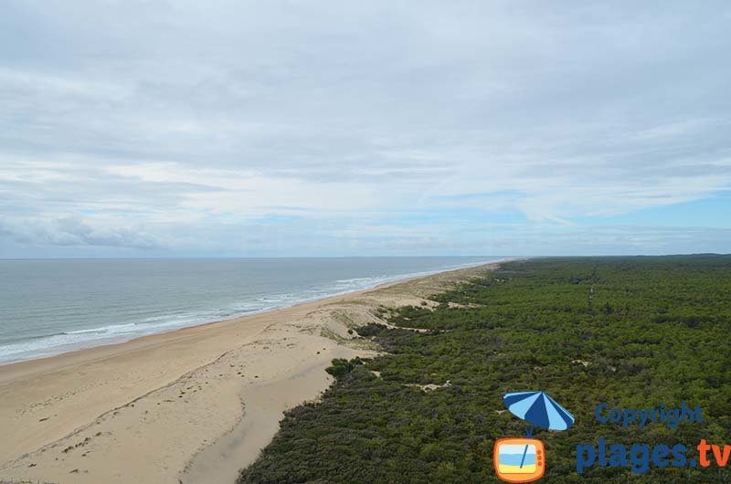 Vue sur la Côte Sauvage depuis le phare de La Coubre - La Tremblade - La Palmyre