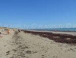 Prises Beach - La Couarde-sur-Mer