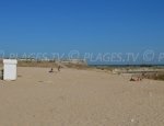 Cible Beach - Saint-Martin-de-Ré