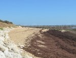 Grange Beach - Ile de Ré  - Ars-en-Ré