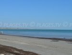 Martray Beach - Ile de Ré - Ars-en-Ré