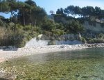 Corton Cove - Cassis