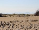 Espiguette Beach - Port Camargue