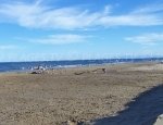 Spiaggia la Vieille Nouvelle - Gruissan-Plage