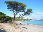 Spiaggia di Palombaggia - Porto-Vecchio