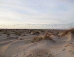 Beauduc beach - Salin-de-Giraud