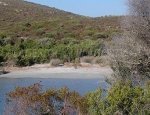 Spiaggia di Malfalcu - Santo-Pietro-di-Tenda