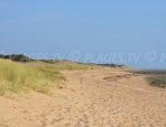 Menouniere Beach - Saint-Pierre-d'Oléron