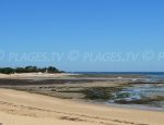 Gros Jonc Beach - Les Portes-en-Ré