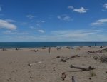 Spiaggia di Bagnas - Marseillan