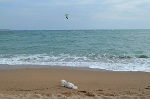 Plage du Pacha - Fréjus