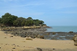 Plage Sables Jaunes