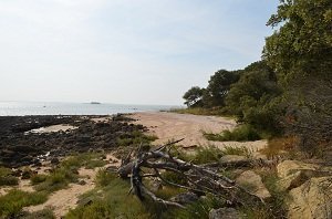 Plage de Batterie de Coudepont