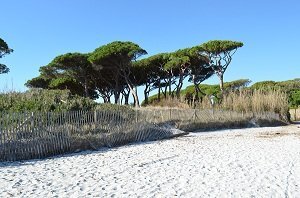 Plage des Salins