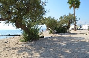 Plage Palm Beach - Cannes